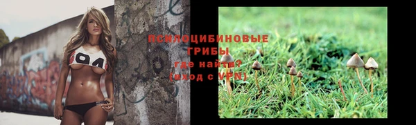каннабис Беломорск