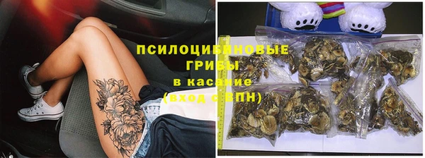 каннабис Беломорск