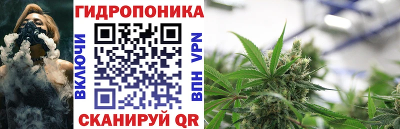 kraken ССЫЛКА  где купить наркоту  Гатчина  Конопля Amnesia 